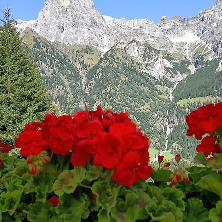 La Stella Alpina Διαμέρισμα Colle Isarco Εξωτερικό φωτογραφία