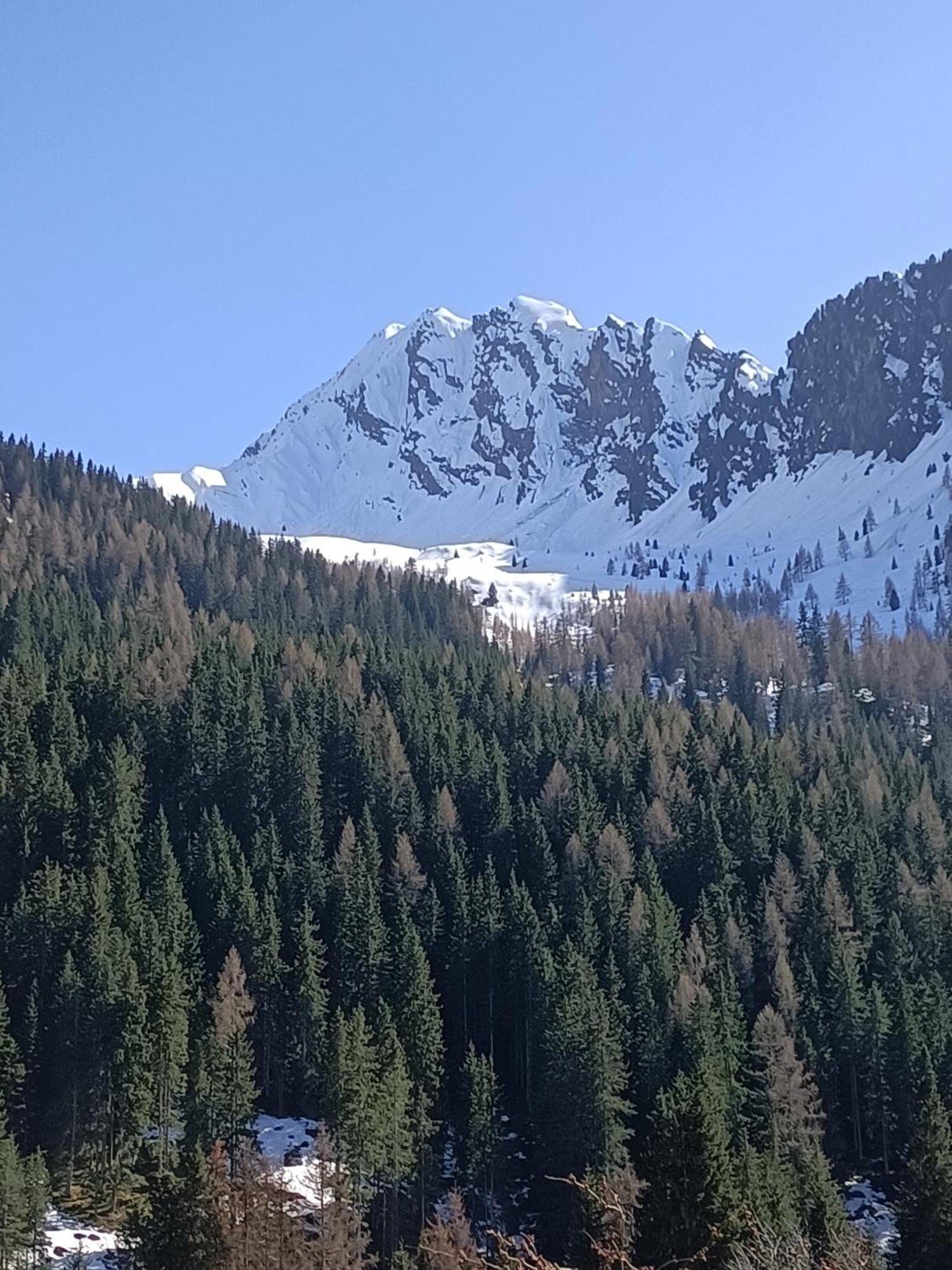 La Stella Alpina Διαμέρισμα Colle Isarco Εξωτερικό φωτογραφία